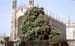 The horse-chestnut outside King's College, Cambridge